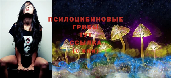тгк Дмитров