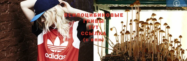 тгк Дмитров