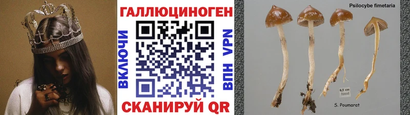 даркнет формула  закладка  Пикалёво  Псилоцибиновые грибы GOLDEN TEACHER 
